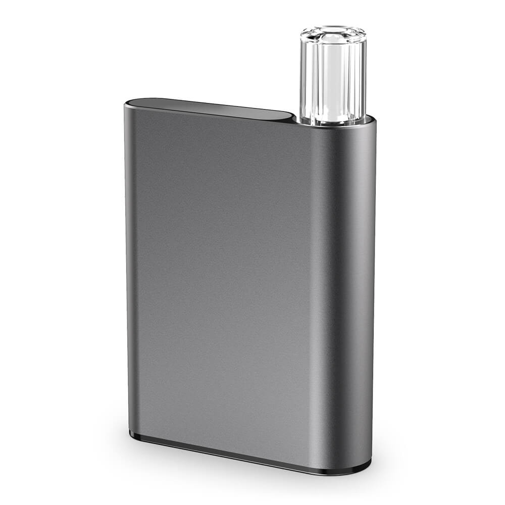 CCELL Palm Akku 550mAh + Ladegerät